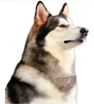 Alaska