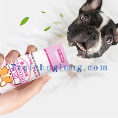 Bàn Chải Đánh Răng Cho Chó